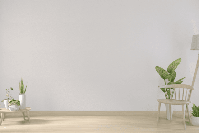 Minimal room with chair, floor lamp, and indoor plants