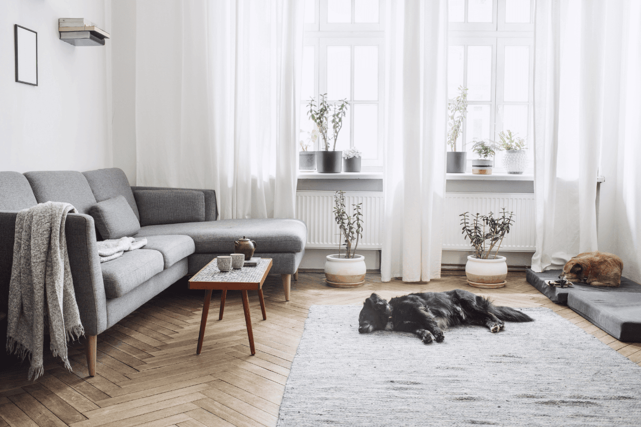 Interiors with refined detailing.